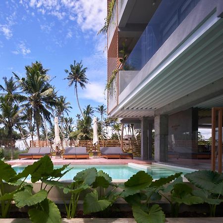 ฮาร์ดดิง บูทิก โฮเต็ล Hotel อาฮานกามา ภายนอก รูปภาพ